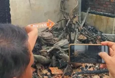 7 Unit Sepeda Motor Hangus Terbakar di Kawasan Kemang Manis Palembang 