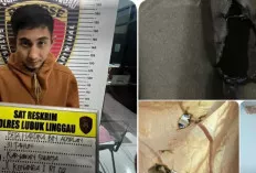 Tidak Diberikan Uang untuk Deposit Judi Online, Pria di Lubuklinggau Nekat Bakar Rumah Orang Tuanya
