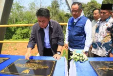 Potong Jarak Tempuh ke Palembang, 17 Infrastruktur Jembatan di Sumsel Resmi Beroperasi