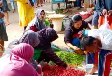 Jelang Iduladha, Harga Cabai di Sanga Desa Cenderung Stabil 