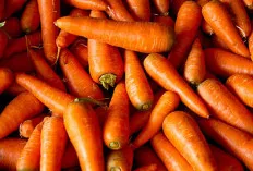Si Oranye Kaya Vitamin A untuk Mata Sehat dan Kulit Cerah!