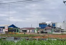 Warga Srigunung dan Cinta Damai Masih Protes Bau Tak Sedap, Diduga Dari Pabrik Kelapa Sawit