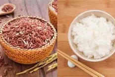 Ini Jadinya Jika Nasi Putih Didinginkan untuk Penderita Diabetes 