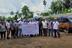 Berkurban Menjadi Simbol Kepedulian, PT GPI Sumbangkan 14 Sapi Kurban di Musi Banyuasin