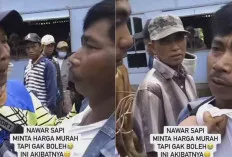 Viral, Pedagang Sapi Diperlakukan Kasar Sama Makelar