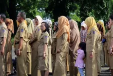 Selamatkan Honorer Non-Database, MenPAN-RB Keluarkan Regulasi Pengangkatan ASN PPPK