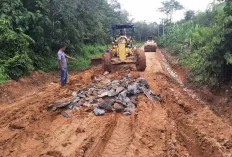 Turun Gunung, Pj Bupati Sandi Fahlepi Tinjau Jalan Rusak 