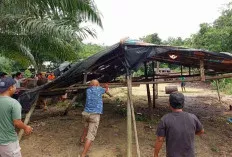 Belum Genap Sebulan Menjabat Kapolsek, Langsung Aksi Bongkar Tempat Penyulingan Minyak Illegal 
