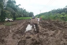 Pemkab Banyuasin Lanjutkan Pembangunan Jalan Muara Padang-Muara Sugihan, Inpres Rp80 Miliar Siap Digelontorkan