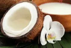 Manfaat Santan untuk Kesehatan Tubuh: Lebih dari Sekadar Bumbu Dapur