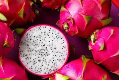 7 Manfaat Luar Biasa Mengkonsumsi Buah Naga Setiap Hari
