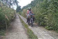 Persempit Badan Jalan 