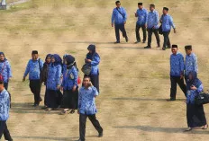 PP Manajemen ASN, Honorer Makin Akrab dengan Kata Molor