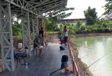 5 Spot Mancing Favorit di Musi Banyuasin, Angler Wajib Coba