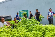 Dukung Program Asta Cita Ketahanan Pangan, Lapas Sekayu Kembali Panen Kangkung dan Bayam