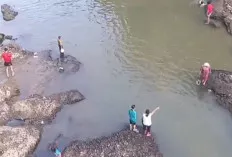 Sungai Kelingi Diputas, Warga Lubuk Kupang Panen Ikan Berujung Kekhawatiran