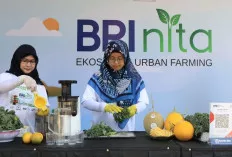 Berdayakan Perempuan, BRI Raih Penghargaan Indonesia Women's Empowerment Principles Awards 2024
