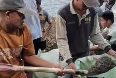 Solidaritas Lima Desa Kikim Selatan dan Wakil Rakyat Gotong Royong Pulihkan Irigasi Merendang Pasca Banjir
