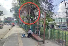 Halte Rusak Berat di Depan Sekolah dan RS Muhammadiyah Palembang Dikeluhkan Warga