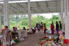 Pasca Lebaran Iduladha 1445 Hijriah, Harga Sayuran Masih Normal 
