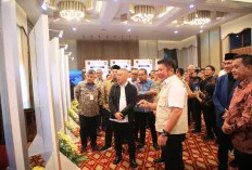 Wujudkan Mimpi 40 Tahun, Herman Deru Targetkan Pelabuhan Tanjung Carat Beroperasi 2028