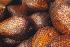 Salak: Buah Eksotis Kaya Manfaat untuk Kesehatan Pencernaan dan Lebih Lagi!      