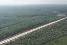 Proyek Tol Palembang–Betung–Jambi Dikebut, Begini Progres Terbarunya