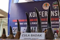 Rampung, Berkas Tersangka Kasus Gading Gajah dan Cula Badak akan Jalani Tahap II 