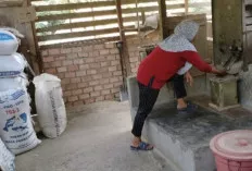 Musim Panen, Omzet Penggilingan Padi Naik Tiga Kali Lipat