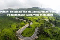 Ciwidey: Destinasi Wisata Instagramable dengan Pemandangan Alam yang Memukau