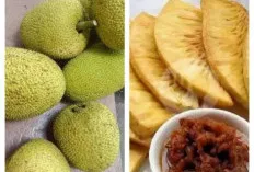 Manfaat dan Khasiat Buah Sukun, Ternyata Luar Biasa