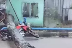 Hujan Deras Guyur Palembang, Sejumlah Titik Tergenang Banjir dan Pohon Tumbang