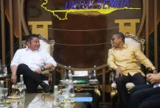 Sumatera Selatan: 