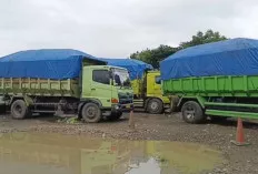 Truk Batu Bara Jambi–Bengkulu Kembali Dilarang Melintas di Sumsel