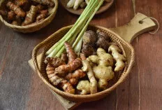  Empon-Empon, Kekayaan Rempah Nusantara untuk Kesehatan dan Kelezatan