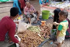 Wow! Segini Harga Jahe Merah di Kecamatan Sanga Desa Muba 