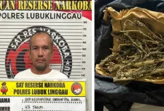 Bawa Ganja 50 Gram, Pria di Lubuk Linggau Ditangkap Polisi