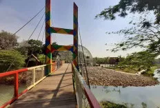 Sejuk dan Menyenangkan! Wana Wisata Dander Hadirkan Wahana Air, Camping, dan Outbound dalam Satu Lokasi