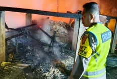  Tragis, Empat Anak Tewas Terjebak Kebakaran Rumah di OKU Timur
