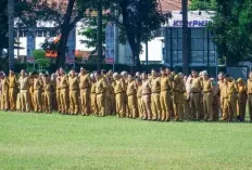 Ada Perbedaan Formasi Antara ASN PPPK dan PNS, Pemprov Sumsel Ajukan 6.138 Formasi  