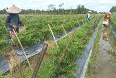 Libatkan Suluruh Pihak, Cetuskan Program GEMERA