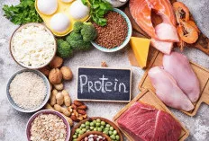 Sumber Protein Aman untuk Penderita Alergi, Catat Pilihan Terbaiknya!   