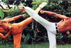 Willy Dozan Sang Bintang Laga Indonesia, Dari Seni Bela Diri hingga Layar Kaca