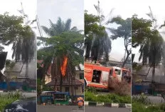  Pohon di Area Gereja HKBP Palembang Terbakar, Diduga Akibat Korsleting Listrik