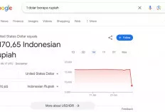 Dolar AS Sempat ''Nyeleneh'' di Google, Ini Klarifikasi Google