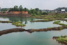 Tak Bisa Berenang, Dua Bocah Asal Banyuasin Ditemukan Meninggal di Bekas Galian Tanah Sukarame