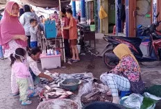 Pasca Idul Fitri, Harga Ikan Laut Terpantau Masih Stabil