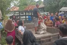 Warga Mangun Jaya OKI Geger Temukan Tengkorak Manusia