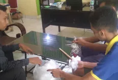 Bimker Lapas Narkotika Kelas IIA Muara Beliti Buat Maskot Lapas