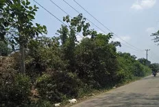 Butuh Lampu Penerangan Jalan 